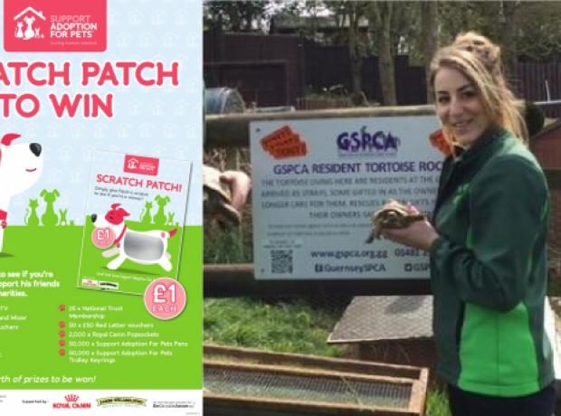 See GSPCA with friends for the Support Adoption for Pets Summer